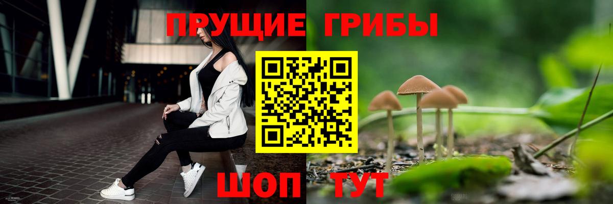 Псилоцибиновые грибы GOLDEN TEACHER  Галлюциногенные грибы прущие грибы  Чита  даркнет сайт  Вход с VPN 